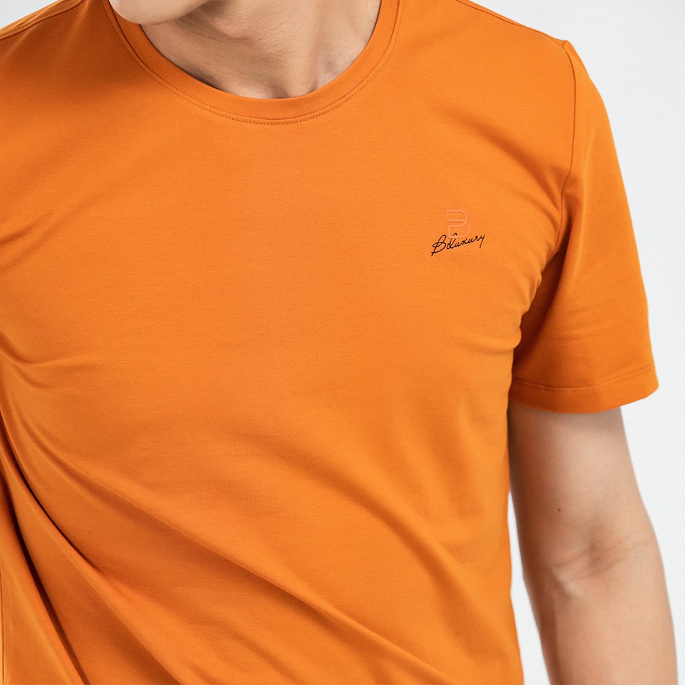 Áo phông nam Biluxury thun lạnh co giãn 4 chiều thoải mái vận động trẻ trung lịch lãm APKB039CAM | BigBuy360 - bigbuy360.vn