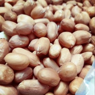 ĐẬU PHỘNG SỐNG_ĐẬU PHỘNG TRẮNG 500G