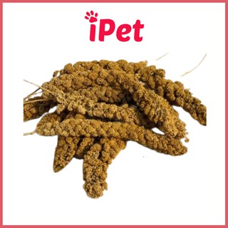 Kê Sợi Chùm Cho Hamster Giúp Lông Mềm Mượt - iPet Shop