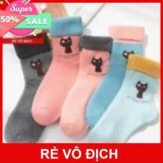 Combo 3 vớ lông hình mèo cổ cao dễ thương