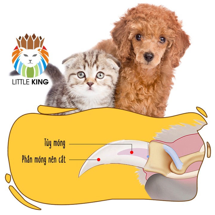 Bộ Kìm cắt móng và dũa móng cho chó mèo, thú cưng loại cán cong Little King pet shop