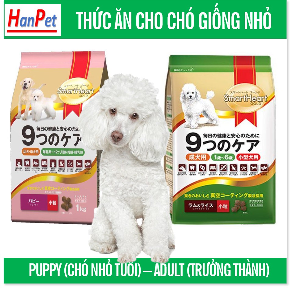 Smartheart Gold - Thức ăn chó Poodle Dạng hạt Thích hợp cho dòng chó mini chó con và chó trưởng thành