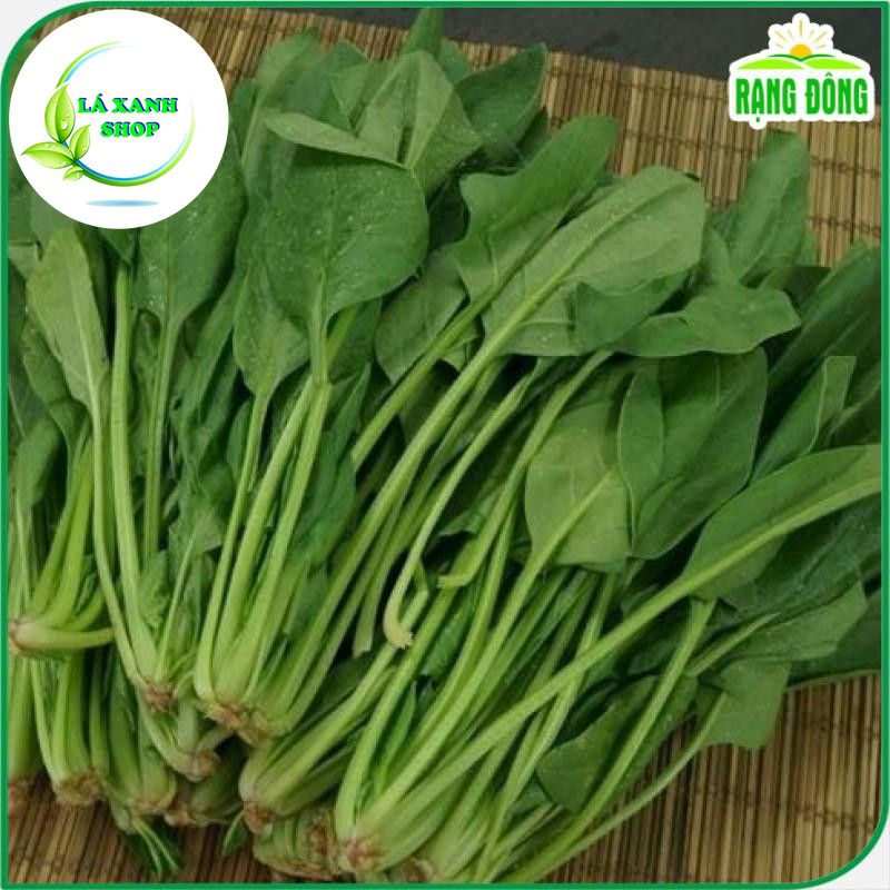 Hạt Giống Cải Bó Xôi (Rau Chân Vịt) Dễ Chăm Sóc, Trồng Được Quanh Năm - Hạt giống Rạng Đông