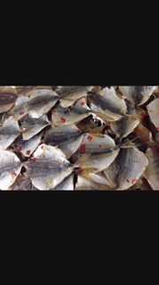 1 kg CÁ Chỉ vàng ớt cay ngon