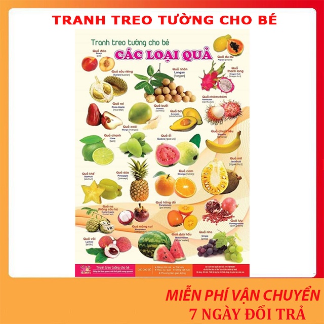 Bộ tranh cho bé nhận biết treo tường 14 chủ đề song ngữ về thế giới xung quanh