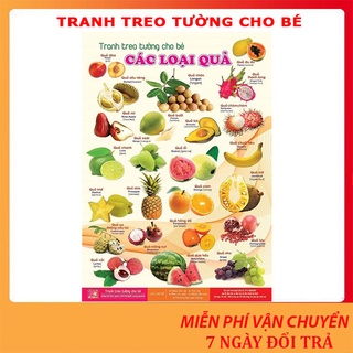 Bộ tranh cho bé nhận biết treo tường 14 chủ đề song ngữ về thế giới xung quanh