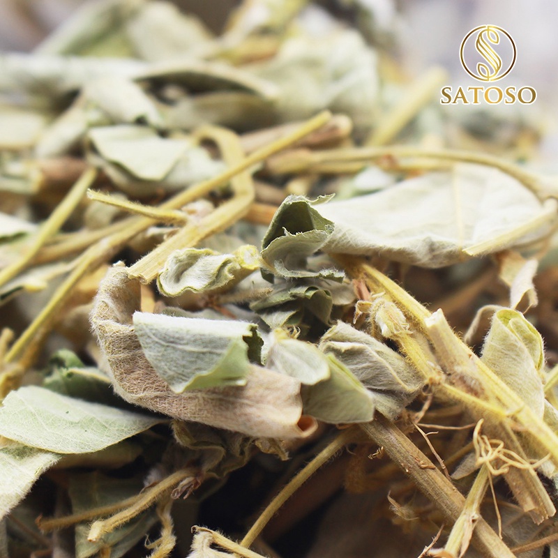 Kim tiền thảo thượng hạng tốt cho thận SATOSO 1kg SA48