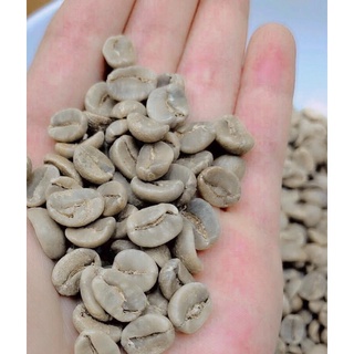 Hạt cà phê nhân xanh  ARABICA  cafe rang mộc, hạt cà phê arabica Cầu Đất S18, arabica sàn 18