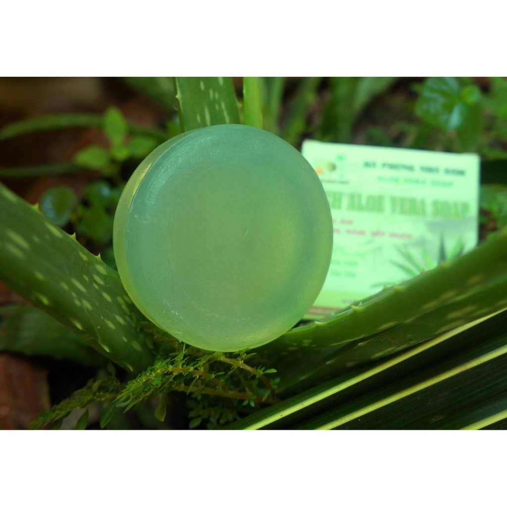 Xà phòng dầu dừa nha đam 100g dưỡng ẩm, trắng sáng da. | BigBuy360 - bigbuy360.vn