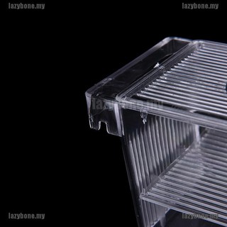Lồng Ấp Trứng Cá Cách Ly Cho Bể Cá