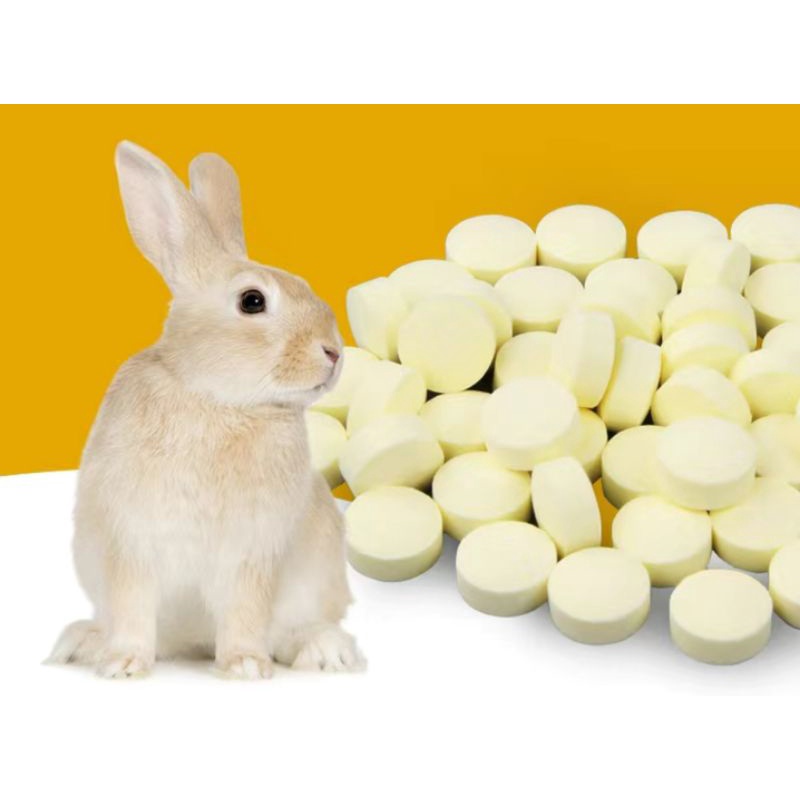 Viên vitamin C cho bọ ú, thỏ, Viên đu đủ và dứa giúp tiêu trừ búi lông trong dạ dày thỏ