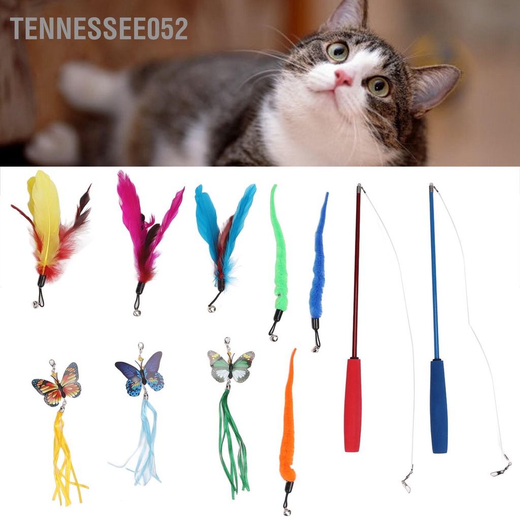 Đồ Chơi Lông Vũ TrọNg LượNg LượNg Cao Cho MèO