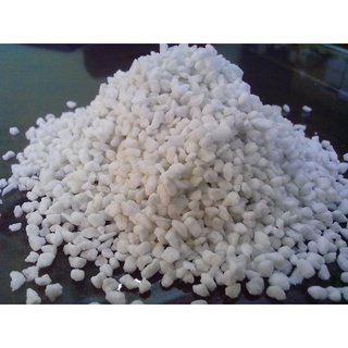 Đá perlite 🌳 FREE SHIP 🌳 giúp đất tơi xốp