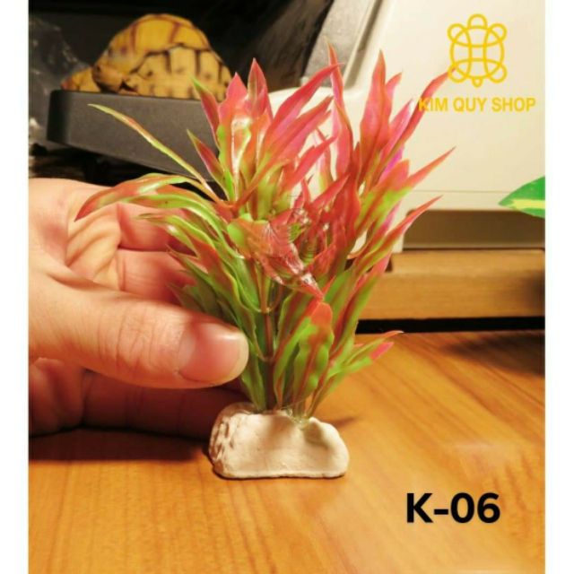 Cây trang trí cho chuồng bò sát