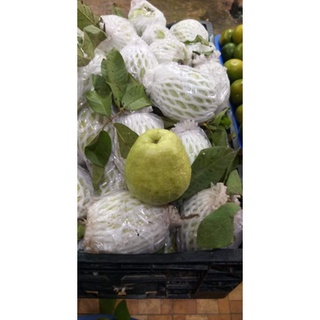 1kg Ổi tươi giòn
