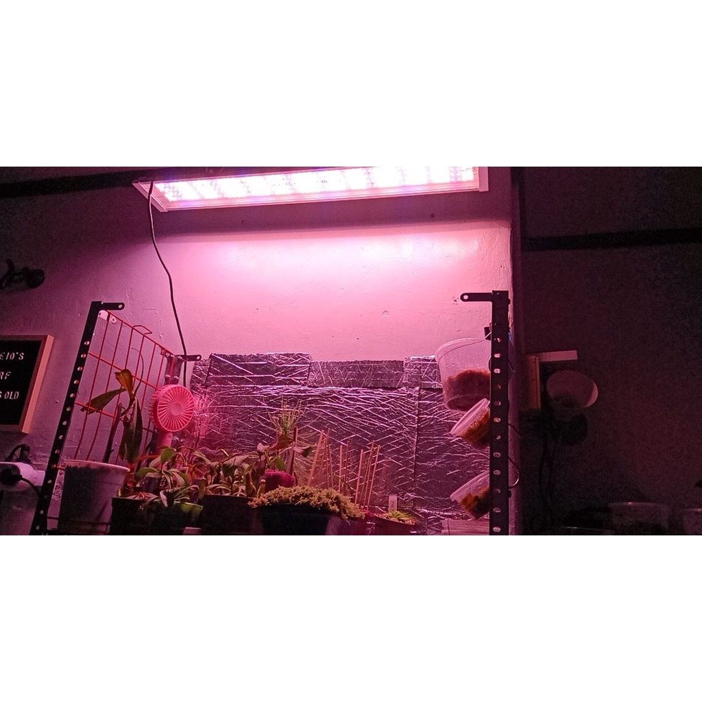 Đèn LED Trồng Cây DELPONTING HT500 LED 80W Đèn Quang Hợp Cho Cây Trồng Trong Nhà