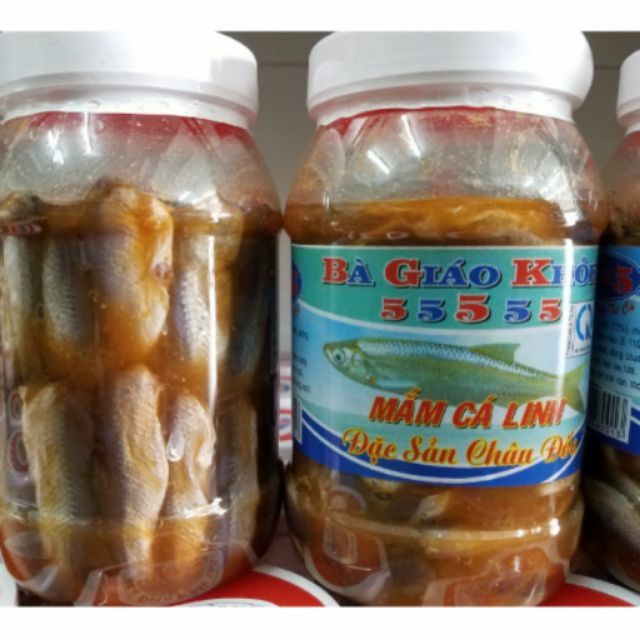 Mắm cá linh Châu Đốc - BÀ GIÁO KHỎE 55555