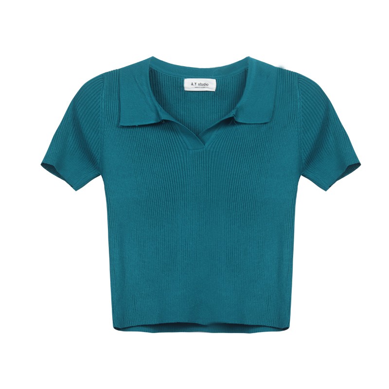 (ORDER) Áo len tăm dệt kim cộc tay cổ bẻ POLO ôm dáng thon gọn sang chảnh Hàn Quốc | BigBuy360 - bigbuy360.vn