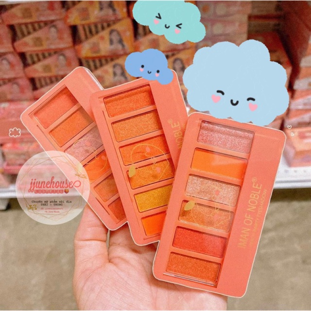 🍑 BẢNG PHẤN MẮT NOBLE PEACH 6 Ô