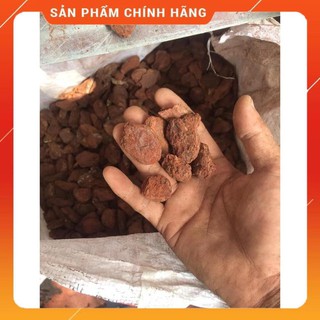 5kg vỏ thông xay 3-4cm.