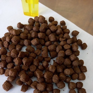 Thức ăn cá,(6ly), 20% đạm 1kg, cho cá trê, tra, tai tượng, ...