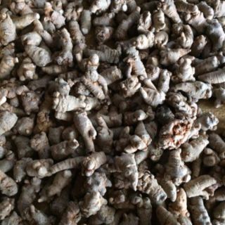 [FREESHIP 99K TOÀN QUỐC] Bột tam thất bắc 200-500g