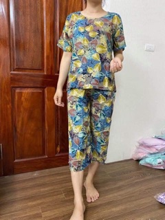 Bộ lanh nhung cấp cấp