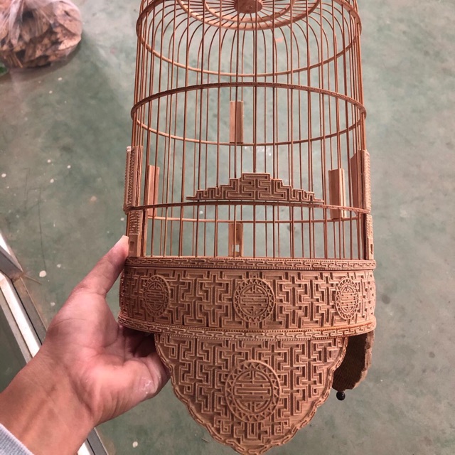 Lồng khuyên đục các tích ( đục cả tang)