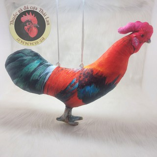 gà giả tập lực , tập luyện né đòn tốt , săn chắc cơ bắp