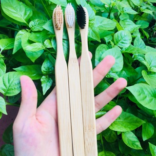 [GÂY QUỸ] Bàn chải tre đánh răng thân tre bảo vệ môi trường