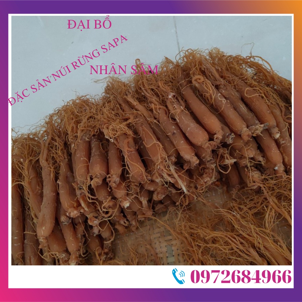 NHÂN SÂM (1 củ  NHỊ HỒNG SÂM) sấy khô củ 25-30gr dẻo thơm ngon dễ ăn bổ dưỡng tăng cường sức khỏe | BigBuy360 - bigbuy360.vn