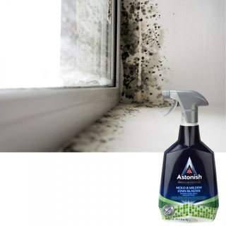 Bình xịt tẩy nấm mốc astonish c1120_750ml