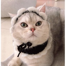 SET YẾM + NÓN TIỂU NGƯỜI HẦU handmade cho PET chó, mèo,. thỏ, chuột ú....