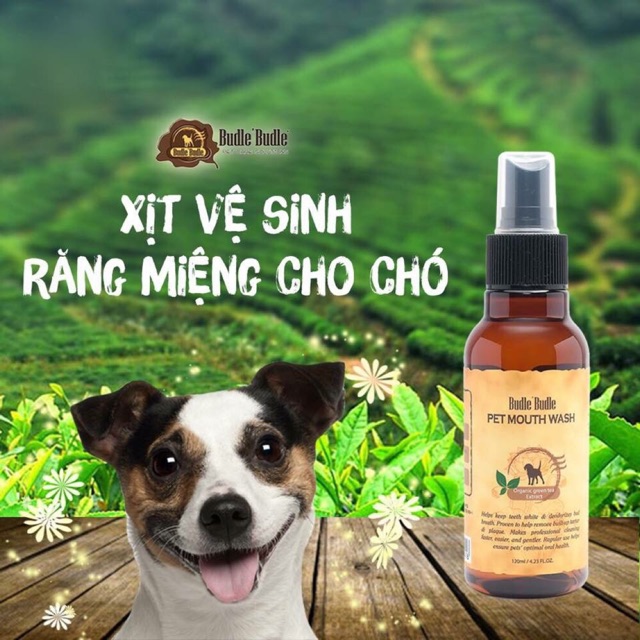 Xịt vệ sinh miệng Budle Budle dành cún