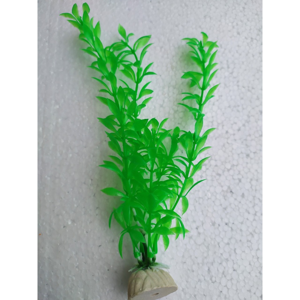 Cây Rong cao 22 cm Trang Trí Hồ Cá, Bể Cá-Hòn Non Bộ,..