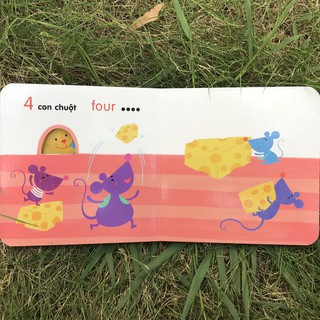 Ô Cửa Diệu Kì - Số Đếm