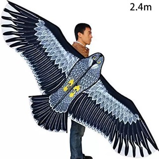 Diều Hình Đại Bàng Cỡ Lớn Thích Hợp Cho Người Lớn Trẻ Mới Bắt Đầu