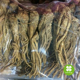 Đương quy (1kg) - TD190