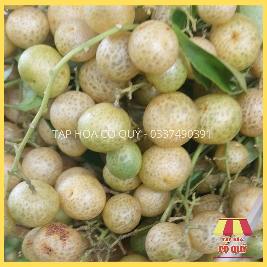 Quả Mắc Mật Tươi Ngâm Muối Ăn Quanh Năm, Mắc mật tươi ướp thịt quay, làm măng ớt - Tạp hóa cô Quý