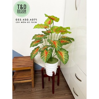 CÂY MÔN ĐỎ 70CM- CÂY GIẢ DECOR