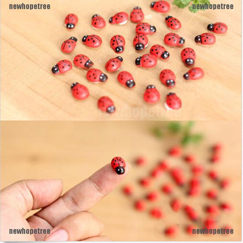 Bọ Cam Mini Trang Trí Vườn Của Bạn