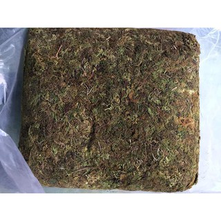 Gói 1kg rêu rừng sạch - giá thể trồng lan giá thể ghép lan rất tốt - DINH DƯỠNG TỰ NHIÊN Shop