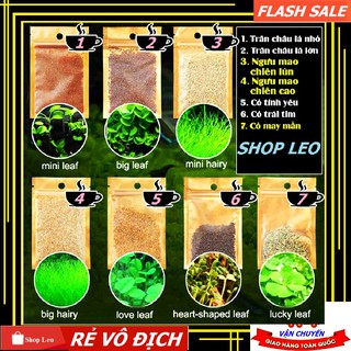 Hạt giống cây thủy sinh - hạt mầm Thủy sinh - Trân Châu, Ngưu Mao Chiên, Cỏ Tình Yêu, Cỏ May Mắn, Cỏ Trái Tim