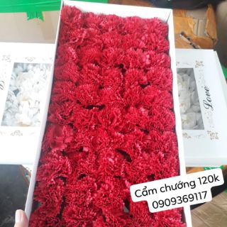 Hoa sáp thơm  (50 bông/ hộp)