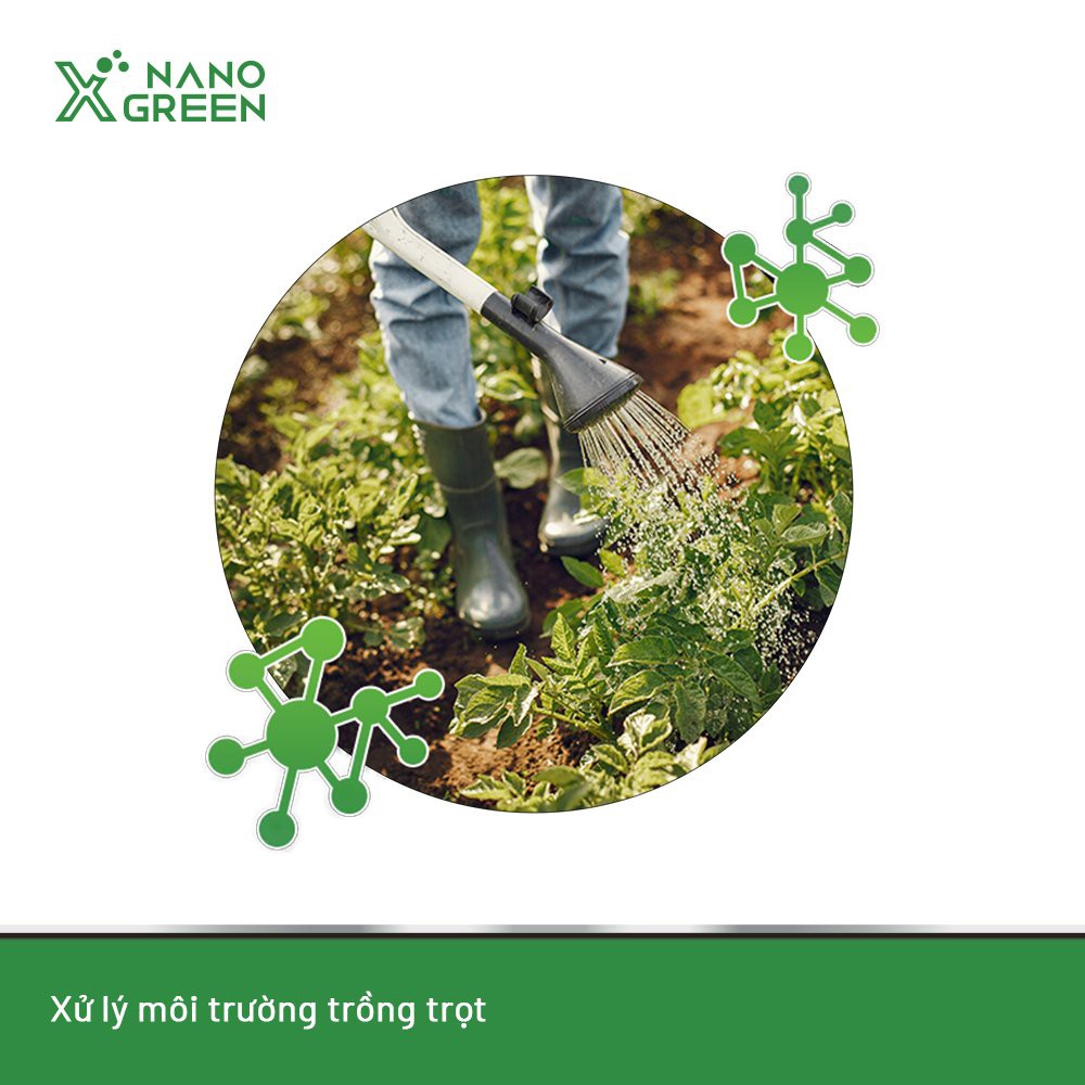 Nano kẽm (zn) Nano Xgreen cung cấp dưỡng chất ngừa rụng lá, rụng trái, vàng lá, bạc lá, lá bị biến dạng 1000ML