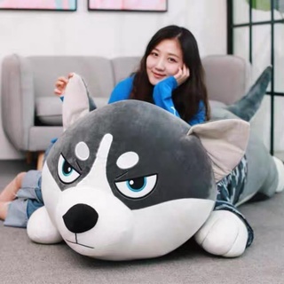 Gấu Bông Chó Husky
