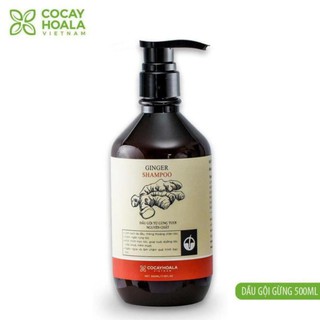 Dầu Gội Thiên Nhiên Chứa vụn Gừng Tươi Cocayhoala 500ml