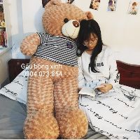 Đại Hạ Giá Gấu Bông Teddy khổ vải 1m4 cao 1m2 - khổ vải 1m8 cao 1m6