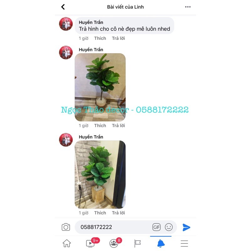 Cây bàng Singapore giả -cây hoa giả  Trang trí không gian sống, nhà cửa