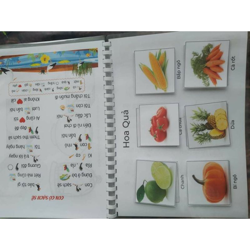 Học liệu bóc dán nhiều kỹ năng tặng kèm công cụ phát triển ngôn ngữ bằng giấy in ảnh